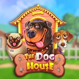 Slots logo of The Dog House from Pragmatic Play at Spinstein Casino